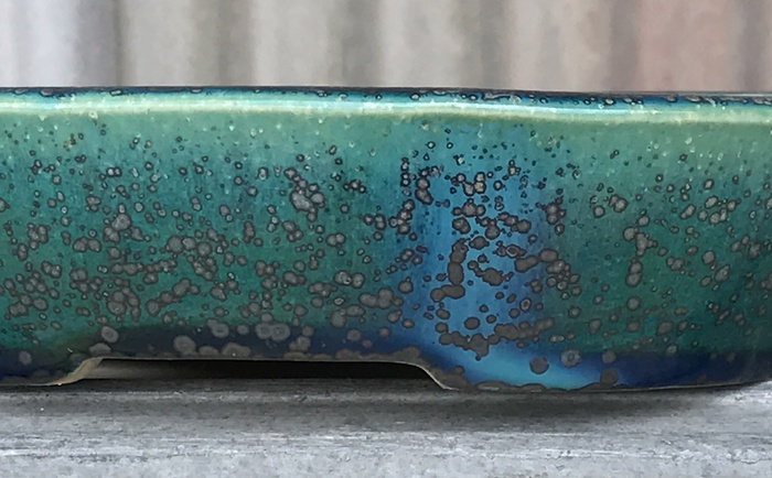 koyotoen