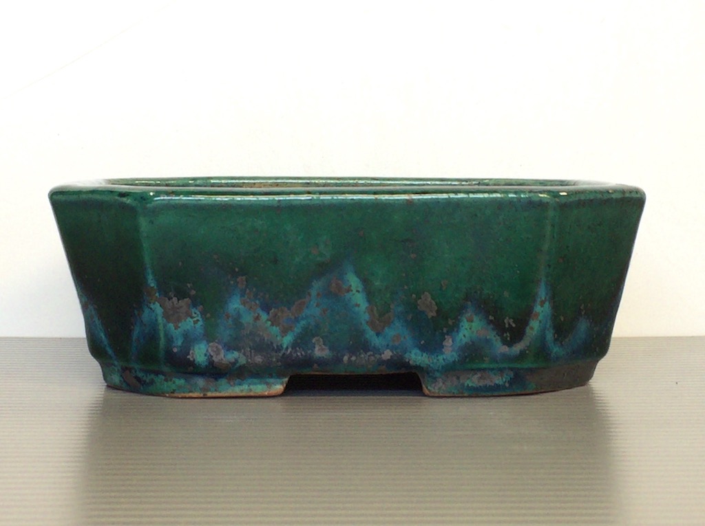 koyotoen